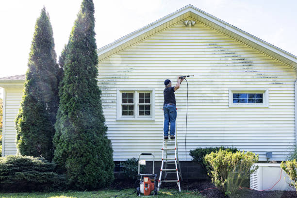 Boat and Dock Cleaning in Glyndon, MN